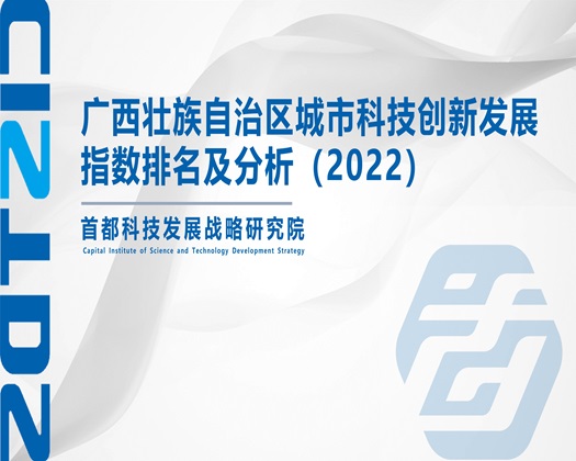 黑棒插白B【成果发布】广西壮族自治区城市科技创新发展指数排名及分析（2022）